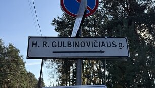 H.Gulbinovičiaus gatvė Vilniaus rajone