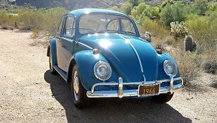 &bdquo;Volkswagen K&auml;fer&ldquo; &copy;George (CC BY-SA 2.0) | commons.wikimedia.org