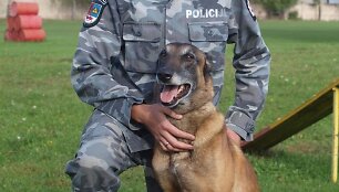 &Scaron;iaulių apskrities policijos kinologas Marius Mižutavičius su tarnybiniu &scaron;unimi Bondu.