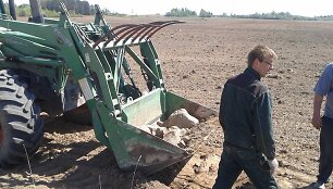 Ilzenbergo ūkyje dirbama daug metų dirvonavusi žemė