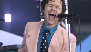 Harry Stylesas