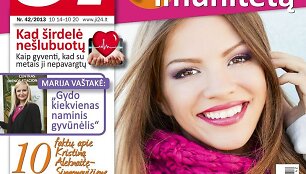 2013 m. Nr. 42