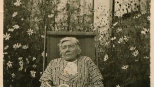 Gabrielė Petkevičaitė-Bitė