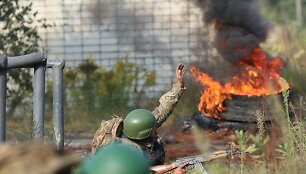 Ukrainos karys