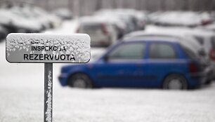 Žiemi&scaron;ki orai vis labiau įsitvirtina.