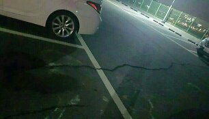 Žemės drebėjimas Pietų Korėjoje