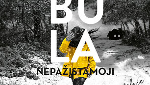 Knygos vir&scaron;elis. Megan Miranda &bdquo;Tobula nepažįstamoji&ldquo;