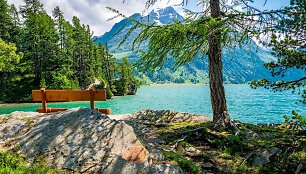 &Scaron;veicarija