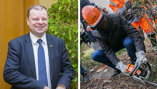 Saulius Skvernelis ir Remigijus &Scaron;ima&scaron;ius