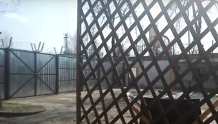 Uostamiesčio policijos akiratyje &ndash; sukčiavę ir žmones apgaudinėję vyrai.