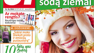 2013 m. Nr. 41