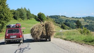 &Scaron;alies kontrastai