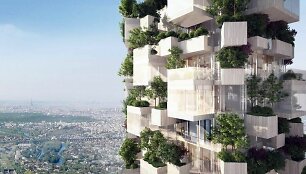 Paryžiuje sužaliuos vertikalus mi&scaron;kas