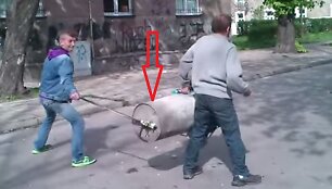 Lenkų pratybos:)