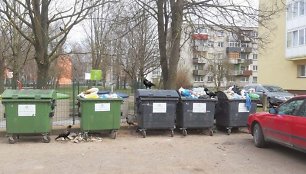 Šilutiškiai skundžiasi paukščių daroma netvarka