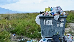 Atsakingesnį vartojimą ir rū&scaron;iavimą reikėtų skatinti remiantis sėkmingomis užsienio praktikomis &ndash; pavyzdžiui, už tinkamą atliekų rū&scaron;iavimą galėtų būti mažinamas &scaron;iuk&scaron;lių mokesčio tarifas.
