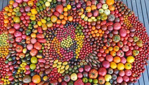 Kaunietės Daivos i&scaron; pomidorų sudėliota mandala 