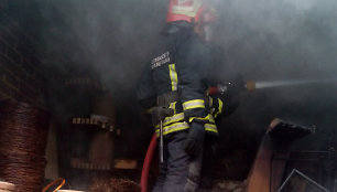 Asociatyvi iliustracija: ugniagesys, gaisras, gelbėjimo darbai