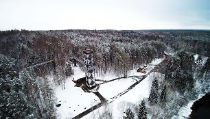 Medžių lajų takas žiemą