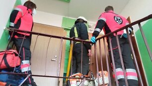 Temos iliustracija