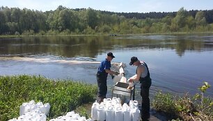 Į Nemuną ties Varvi&scaron;kės kaimu i&scaron;piltas biologinis preparatas ma&scaron;alų lervoms naikinti