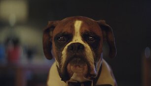 Kadras i&scaron; kalėdinės &bdquo;John Lewis&ldquo; reklamos