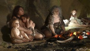 Neandertaliečių šeima