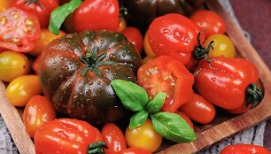 Pomidorai