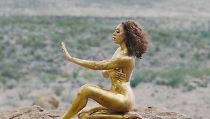 Solange Knowles vaizdo klipe „Cranes in the Sky“