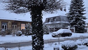 Apsnigtas Vilnius