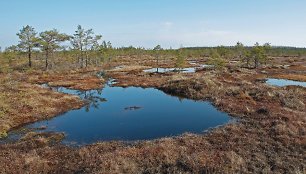 Kamanų valstybinis rezervatas