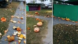 Vandalų nuniokoti vaikų i&scaron;skaptuoti moliūgai