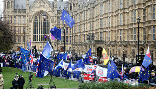 &bdquo;Brexit&ldquo; rėmėjai ir &scaron;alininkai prie JK parlamento