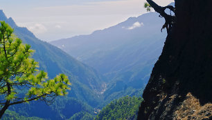 Kvapą gniaužiantis „Caldera de Taburiente” nacionalinis parkas La Palmos saloje