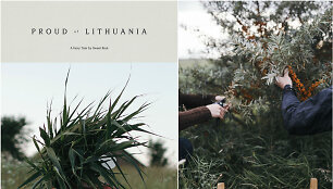 Knygos &bdquo;Proud of Lithuania. A Fairy Tale by Sweet Root&ldquo; vir&scaron;elis ir vidinė nuotrauka