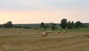 Pasienio žemėse vis dažniau šeimininkauja lenkai