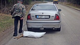 Avarijos vietoje