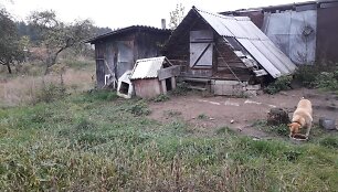 Gyvūnas