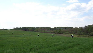 Asociatyvinė iliustracija: paie&scaron;kų pajėgos