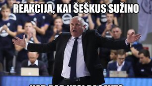 Virginijus &Scaron;e&scaron;kus