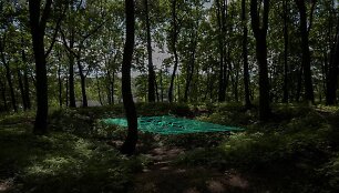 Bjerkeset Andersen &bdquo;Carpet of Floating Dream&ldquo;