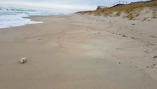 Baltijos jūra savaitgalį Nidos ir Juodkrantės paplūdimiuose išmetė teršalų, panašių į parafiną, gabalų.