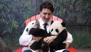 Kanados ministras pirmininkas Justinas Trudeau su pandų jaunikliais
