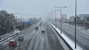 Automagistralės M1 atkarpa 