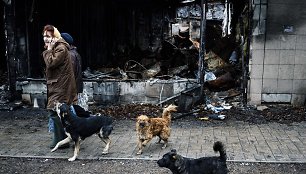 Šunys separatistų kontroliuojamame Donecke