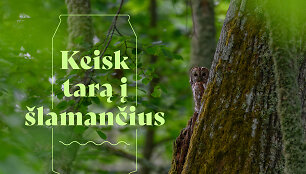 &Scaron;lamantys iliustracija