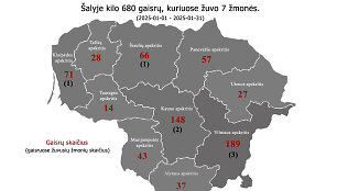 Gaisringumo statistika