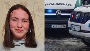 Ie&scaron;koma mergina