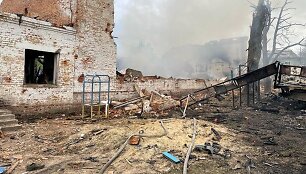 Antskrydžių Černihivo srityje padariniai