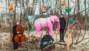 &bdquo;The Pink Elephant&ldquo;